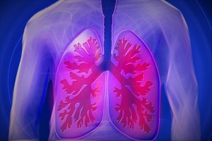 pulmon-epoc-cigarrillo-enfermedad-respiratoria-corazon-pulmonar-humo-salud-bienestar